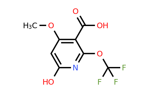 1806047-86-8 | 6-Hydroxy-4-methoxy-2-(trifluoromethoxy)pyridine-3-carboxylic acid