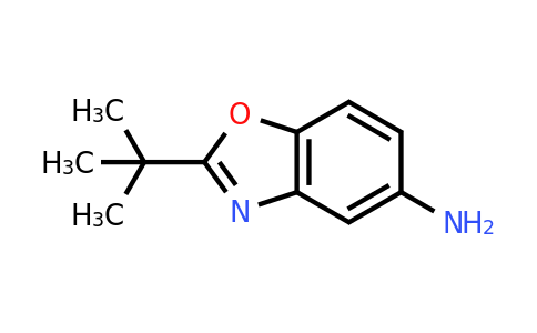 1017046-27-3 | 2-tert-Butyl-1,3-benzoxazol-5-amine