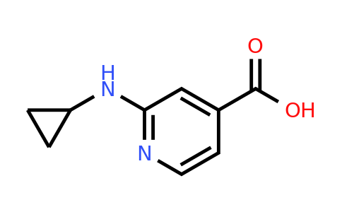 1019371-44-8 | 2-(Cyclopropylamino)isonicotinic acid