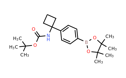 1032528-06-5 | tert-Butyl (1-(4-(4,4,5,5-tetramethyl-1,3,2-dioxaborolan-2-yl)phenyl)cyclobutyl)carbamate 1032528-06-5 | tert-Butyl (1-(4-(4,4,5,5-tetramethyl-1,3,2-dioxaborolan-2-yl)phenyl)cyclobutyl)carbamate