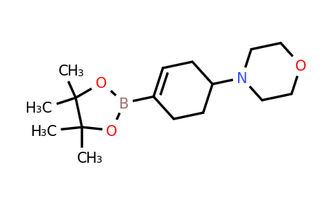 1046793-56-9 | 4-(4-(4,4,5,5-Tetramethyl-1,3,2-dioxaborolan-2-yl)cyclohex-3-en-1-yl)morpholine