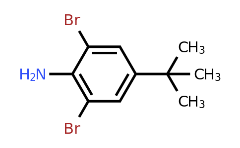 10546-67-5 | 2,6-Dibromo-4-tert-butylaniline