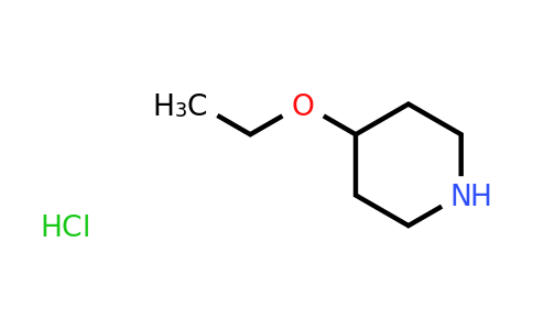 1122-87-8 | 4-Ethoxypiperidine Hydrochloride