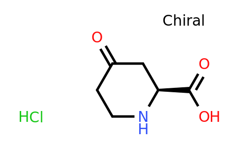 116049-23-1 | (S)-4-oxopiperidine-2-carboxylic acid hydrochloride