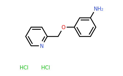 1170433-81-4 | 3-(Pyridin-2-ylmethoxy)aniline dihydrochloride