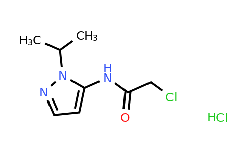 1171453-82-9 | 2-Chloro-N-[1-(propan-2-yl)-1H-pyrazol-5-yl]acetamide hydrochloride