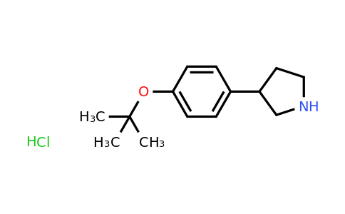 1187931-72-1 | 3-(4-tert-Butoxy-phenyl)-pyrrolidine hydrochloride