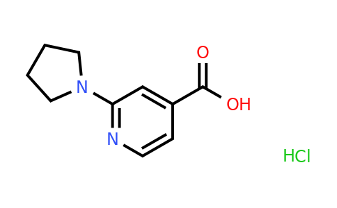 1187932-62-2 | 2-Pyrrolidin-1-yl-isonicotinic acid hydrochloride