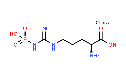 1189-11-3 | Nω-phospho-L-arginine