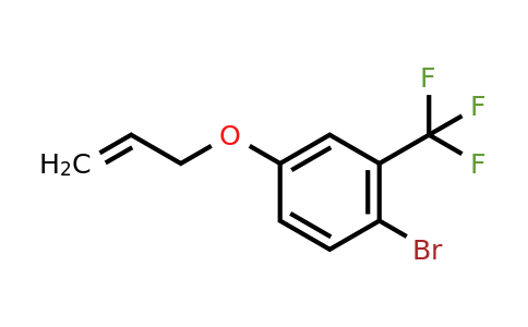 1208-41-9 | 4-(Allyloxy)-1-Bromo-2-(Trifluoromethyl)Benzene