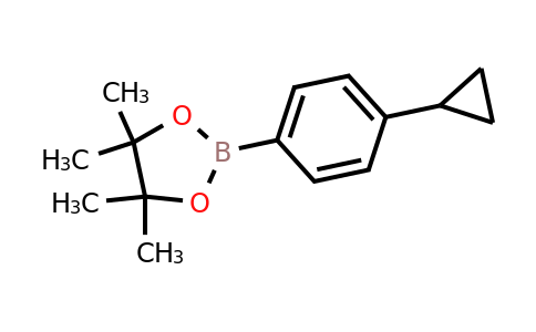 1219741-94-2 | 2-(4-Cyclopropylphenyl)-4,4,5,5-tetramethyl-1,3,2-dioxaborolane