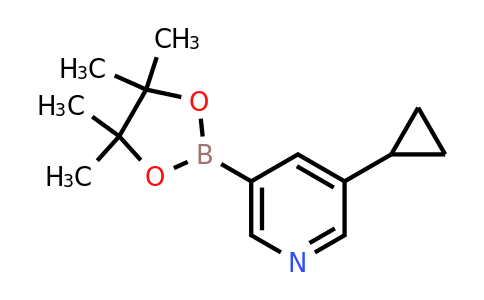 1220696-43-4 | 3-Cyclopropyl-5-(4,4,5,5-tetramethyl-1,3,2-dioxaborolan-2-yl)pyridine