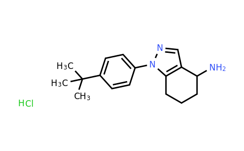 1242340-08-4 | 1-(4-tert-Butylphenyl)-4,5,6,7-tetrahydro-1h-indazol-4-amine hydrochloride