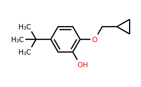 1243279-39-1 | 5-Tert-butyl-2-(cyclopropylmethoxy)phenol