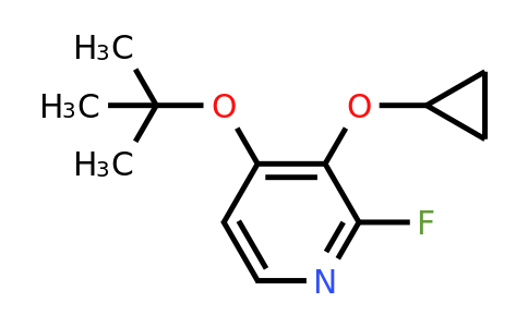 1243346-53-3 | 4-Tert-butoxy-3-cyclopropoxy-2-fluoropyridine