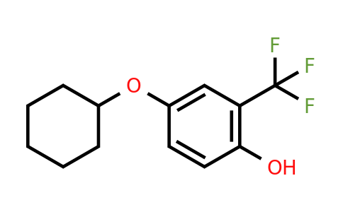 1243348-45-9 | 4-(Cyclohexyloxy)-2-(trifluoromethyl)phenol