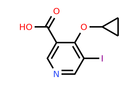 1243407-42-2 | 4-Cyclopropoxy-5-iodonicotinic acid