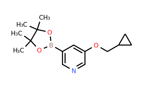 1257553-87-9 | 3-(Cyclopropylmethoxy)-5-(4,4,5,5-tetramethyl-1,3,2-dioxaborolan-2-yl)pyridine