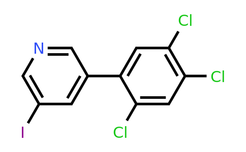 1261775-19-2 | 3-Iodo-5-(2,4,5-trichlorophenyl)pyridine