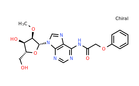 128219-80-7 | 2'-O-Methyl-N6-phenoxyacetyladenosine