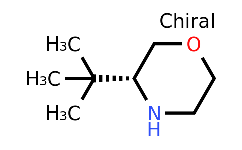 1286768-66-8 | (R)-3-(tert-Butyl)morpholine