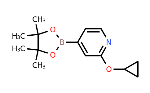1346707-95-6 | 2-Cyclopropoxy-4-(4,4,5,5-tetramethyl-1,3,2-dioxaborolan-2-yl)pyridine