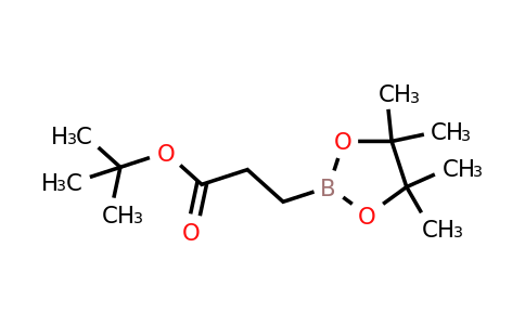 134892-19-6 | tert-Butyl 3-(4,4,5,5-tetramethyl-1,3,2-dioxaborolan-2-yl)propanoate