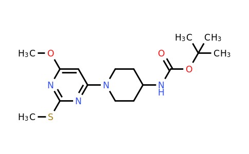 1353946-56-1 | tert-butyl (1-(6-methoxy-2-(methylthio)pyrimidin-4-yl)piperidin-4-yl)carbamate