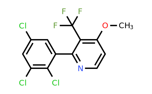 1361475-46-8 | 4-Methoxy-2-(2,3,5-trichlorophenyl)-3-(trifluoromethyl)pyridine