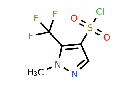 1365939-85-0 | 1-Methyl-5-(trifluoromethyl)-1H-pyrazole-4-sulfonyl chloride