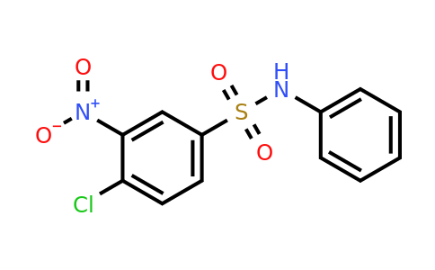 137-49-5 | 4-Chloro-3-nitro-N-phenylbenzenesulfonamide