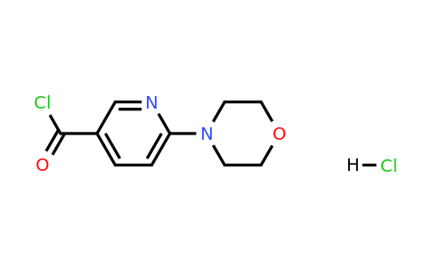 1396762-09-6 | 6-Morpholinonicotinoyl chloride hydrochloride