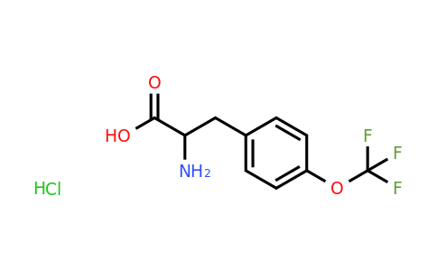 174732-77-5 | 2-Amino-3-[4-(trifluoromethoxy)phenyl]propanoic acid hydrochloride