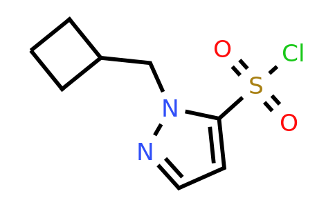 1785243-74-4 | 1-(Cyclobutylmethyl)-1H-pyrazole-5-sulfonyl chloride