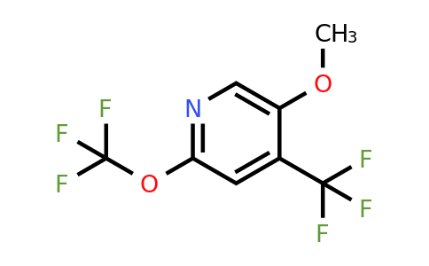 1803480-62-7 | 5-Methoxy-2-(trifluoromethoxy)-4-(trifluoromethyl)pyridine