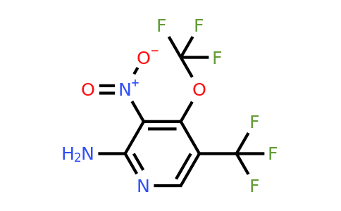 1803524-08-4 | 2-Amino-3-nitro-4-(trifluoromethoxy)-5-(trifluoromethyl)pyridine