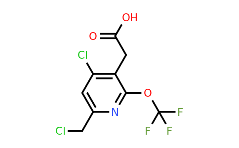 1803636-60-3 | 4-Chloro-6-(chloromethyl)-2-(trifluoromethoxy)pyridine-3-acetic acid