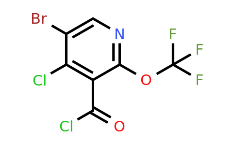 1803660-72-1 | 5-Bromo-4-chloro-2-(trifluoromethoxy)pyridine-3-carbonyl chloride