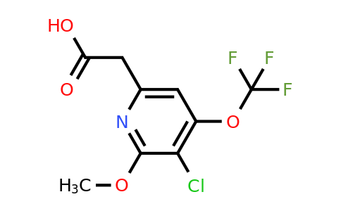 1803696-70-9 | 3-Chloro-2-methoxy-4-(trifluoromethoxy)pyridine-6-acetic acid