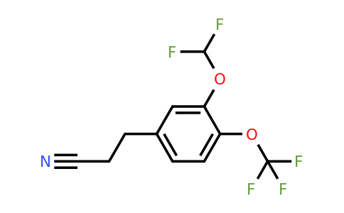 1803721-42-7 | 3-(3-(Difluoromethoxy)-4-(trifluoromethoxy)phenyl)propanenitrile