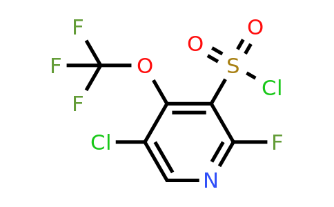 1803964-80-8 | 5-Chloro-2-fluoro-4-(trifluoromethoxy)pyridine-3-sulfonyl chloride