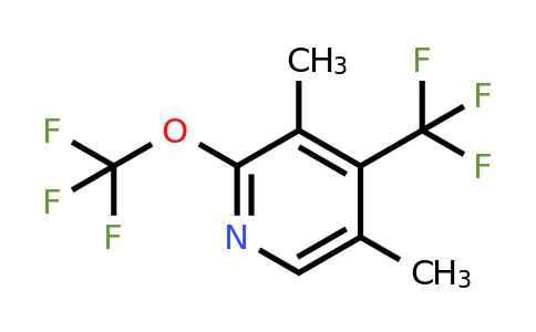 1804001-76-0 | 3,5-Dimethyl-2-(trifluoromethoxy)-4-(trifluoromethyl)pyridine