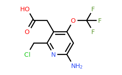 1804019-18-8 | 6-Amino-2-(chloromethyl)-4-(trifluoromethoxy)pyridine-3-acetic acid