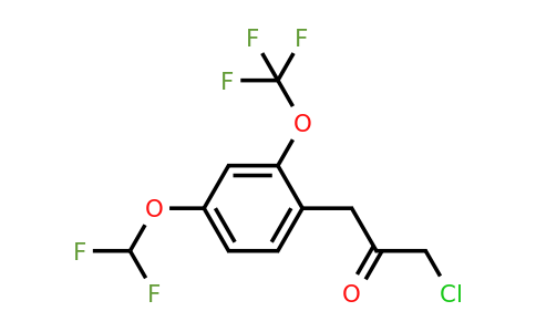 1804279-36-4 | 1-Chloro-3-(4-(difluoromethoxy)-2-(trifluoromethoxy)phenyl)propan-2-one