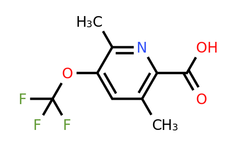 1804293-40-0 | 2,5-Dimethyl-3-(trifluoromethoxy)pyridine-6-carboxylic acid