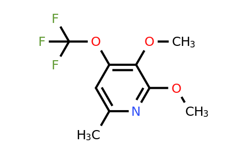 1804520-90-8 | 2,3-Dimethoxy-6-methyl-4-(trifluoromethoxy)pyridine