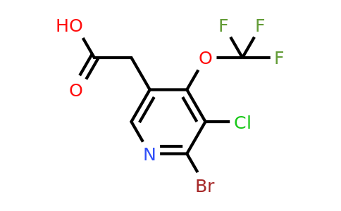 1804635-66-2 | 2-Bromo-3-chloro-4-(trifluoromethoxy)pyridine-5-acetic acid