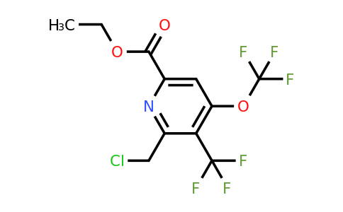 1805031-56-4 | Ethyl 2-(chloromethyl)-4-(trifluoromethoxy)-3-(trifluoromethyl)pyridine-6-carboxylate
