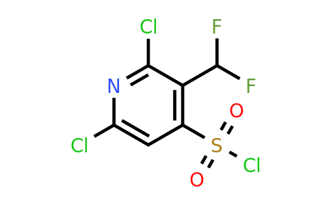 1805053-79-5 | 2,6-Dichloro-3-(difluoromethyl)pyridine-4-sulfonyl chloride
