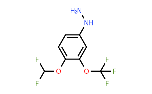 1805866-31-2 | 1-(4-(Difluoromethoxy)-3-(trifluoromethoxy)phenyl)hydrazine